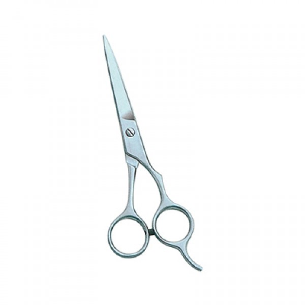 Barber and Dressing Scissors